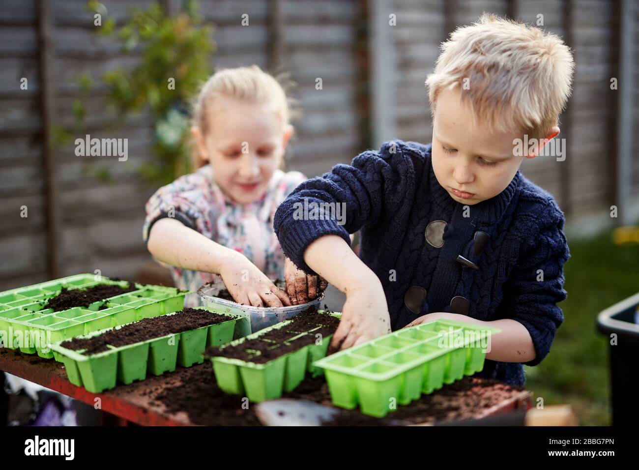 Due bambini della scuola elementare piantano semi in vassoi di semi di plastica verde Foto Stock