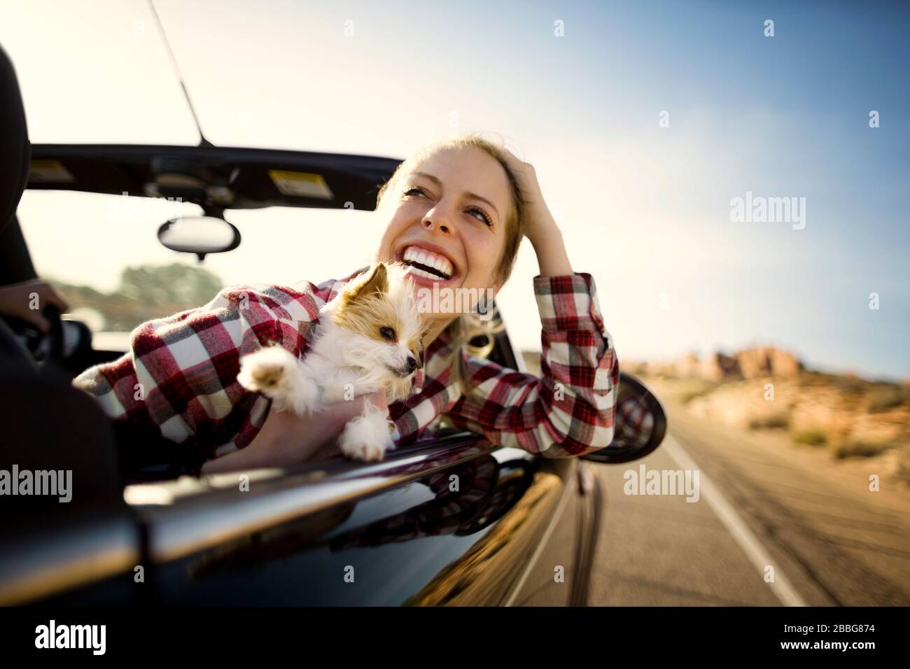Giovane donna che ride seduto sul sedile del passeggero di una vettura convertibile con il suo cane piccolo in un viaggio su strada Foto Stock