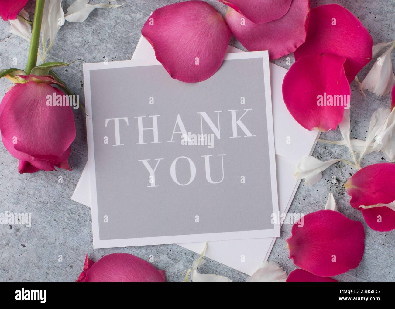 Un biglietto d'auguri per esprimere i ringraziamenti con petali di rosa rossi di alto qualità come sfondo Foto Stock