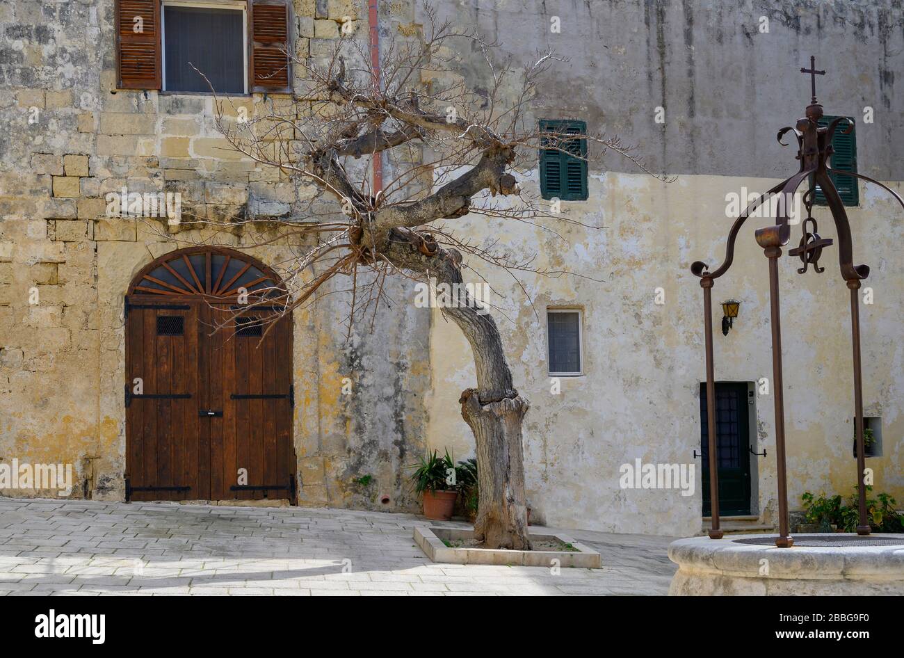 Bene e un albero a Piazza Misrah Mesquita a Mdina, Malta Foto Stock