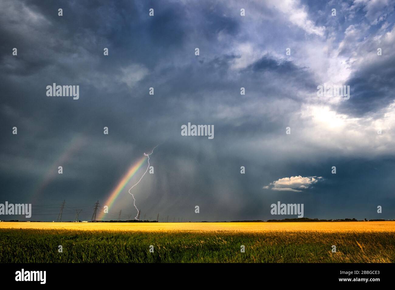 Tempesta con fulmini e arcobaleno sopra canola campo in rurale sud Manitoba Canada Foto Stock
