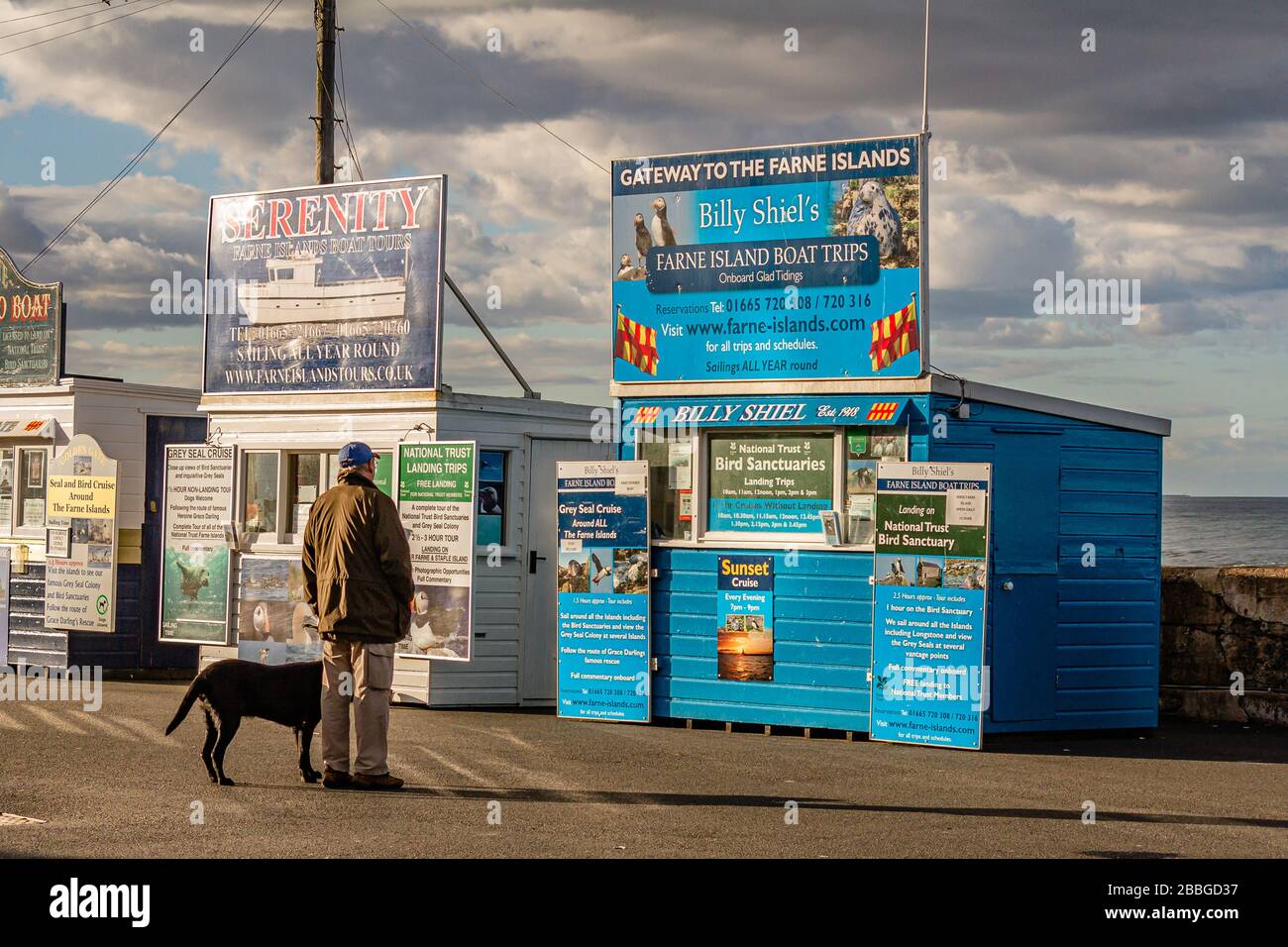 Un potenziale cliente che guarda le gite in barca disponibili dal porto di Seahouses alle isole Farne, Northumberland, Regno Unito. Settembre 2018. Foto Stock