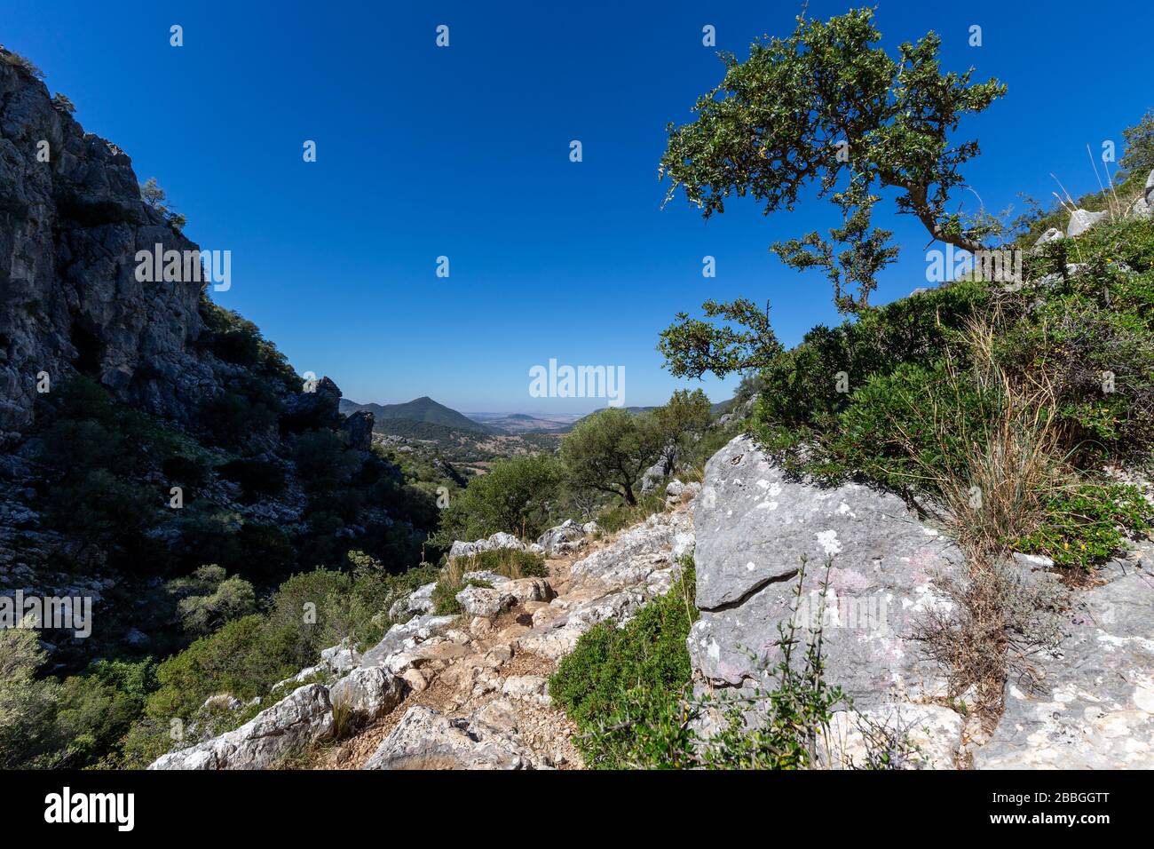 Paesaggio mediterraneo nella Sierra de Grazalema, Andalusia, Spagna. Foto Stock