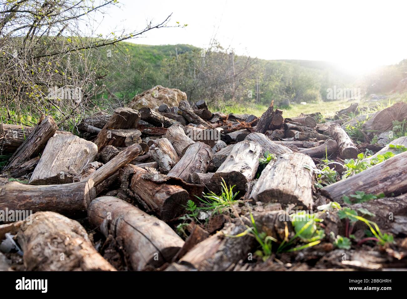 parti di legno in un villaggio per bruciare ed essere calde Foto Stock