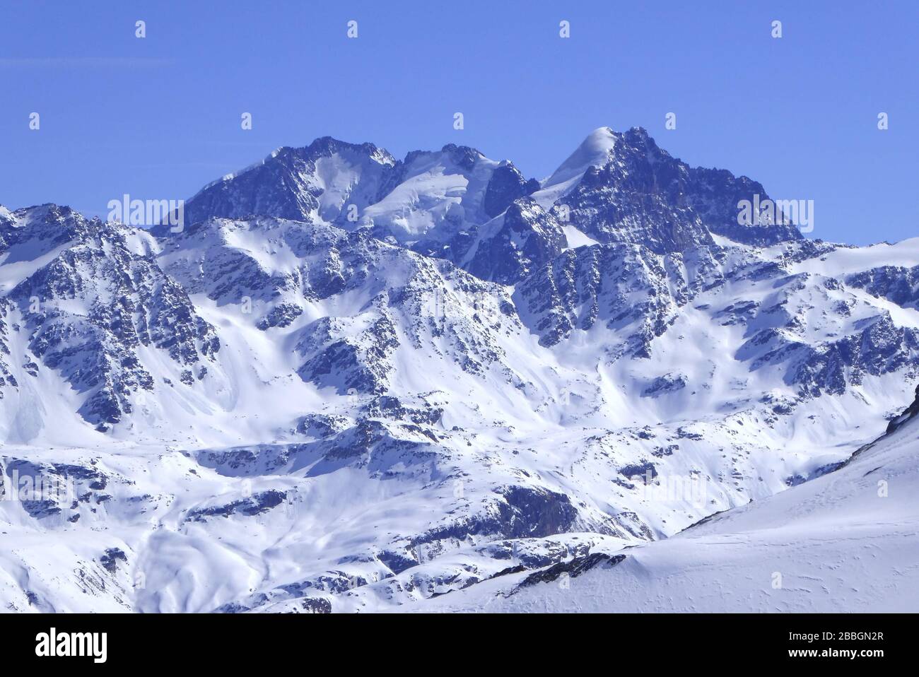 Bivio, Skitour auf den Piz dal SASC. Blick auf die Berninagruppe, Piz Bianco, Piz Bernina, Piz Scerscen und Piz Roseg. Foto Stock