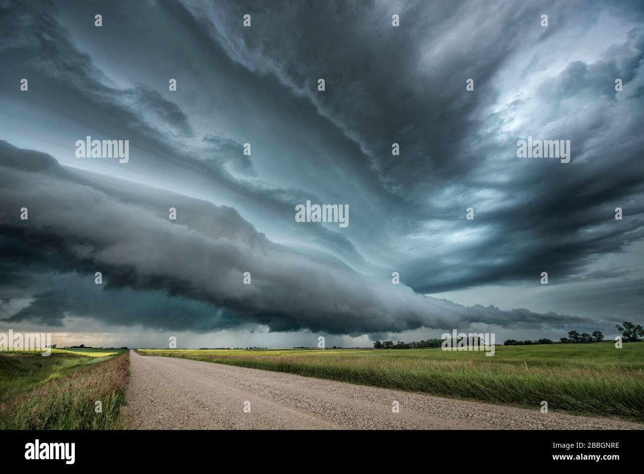 Tempesta con nuvole d'onda su un campo di canola e strada di ghiaia nel sud Saskatchewan Canada Foto Stock