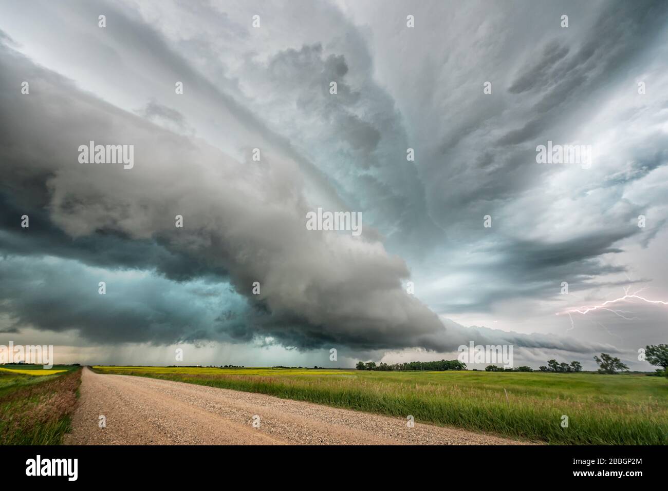 Tempesta con fulmini su un campo di canola e strada di ghiaia nel sud Saskatchewan Canada Foto Stock