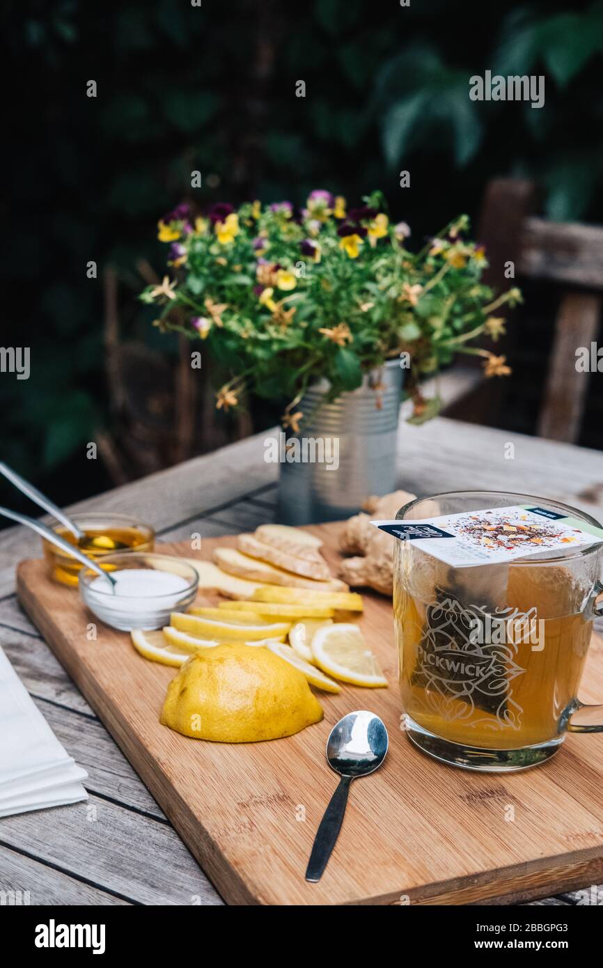 Tè in una tazza di vetro con limone, zenzero, miele, zucchero su tavola di legno in giardino. Fettine di limone e un cucchiaio con miele al tè caldo. Foto Stock
