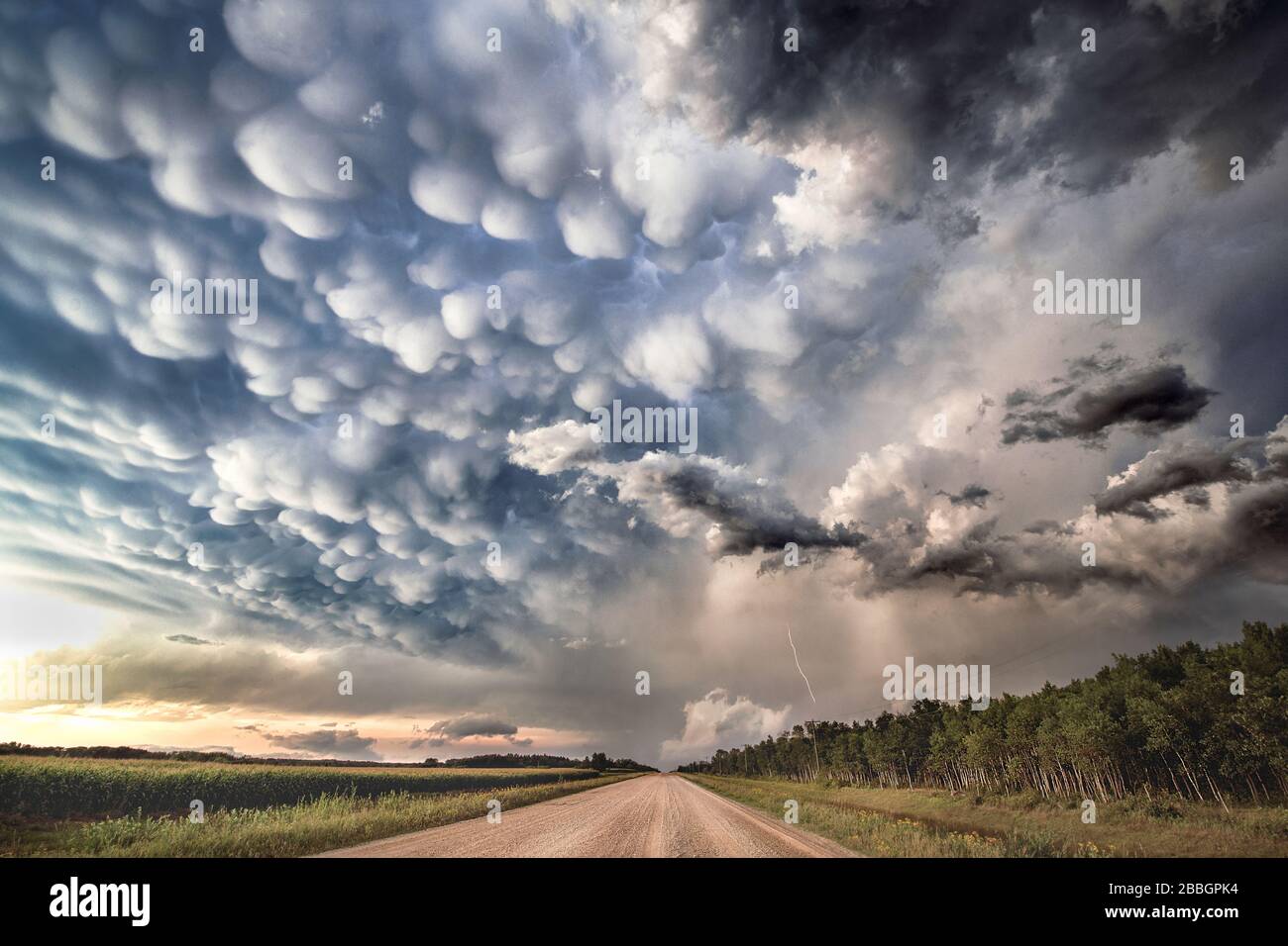 Gorgeoud profondo mammatus nuvole su strada di ghiaia nella rurale sud Manitoba Canada su un tornado avvertito super cellula Foto Stock