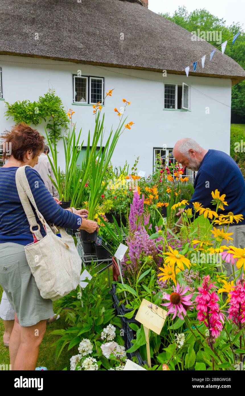 Regno Unito, Inghilterra, Dorset, Milton Abbas, Biennale Street Fair Foto Stock