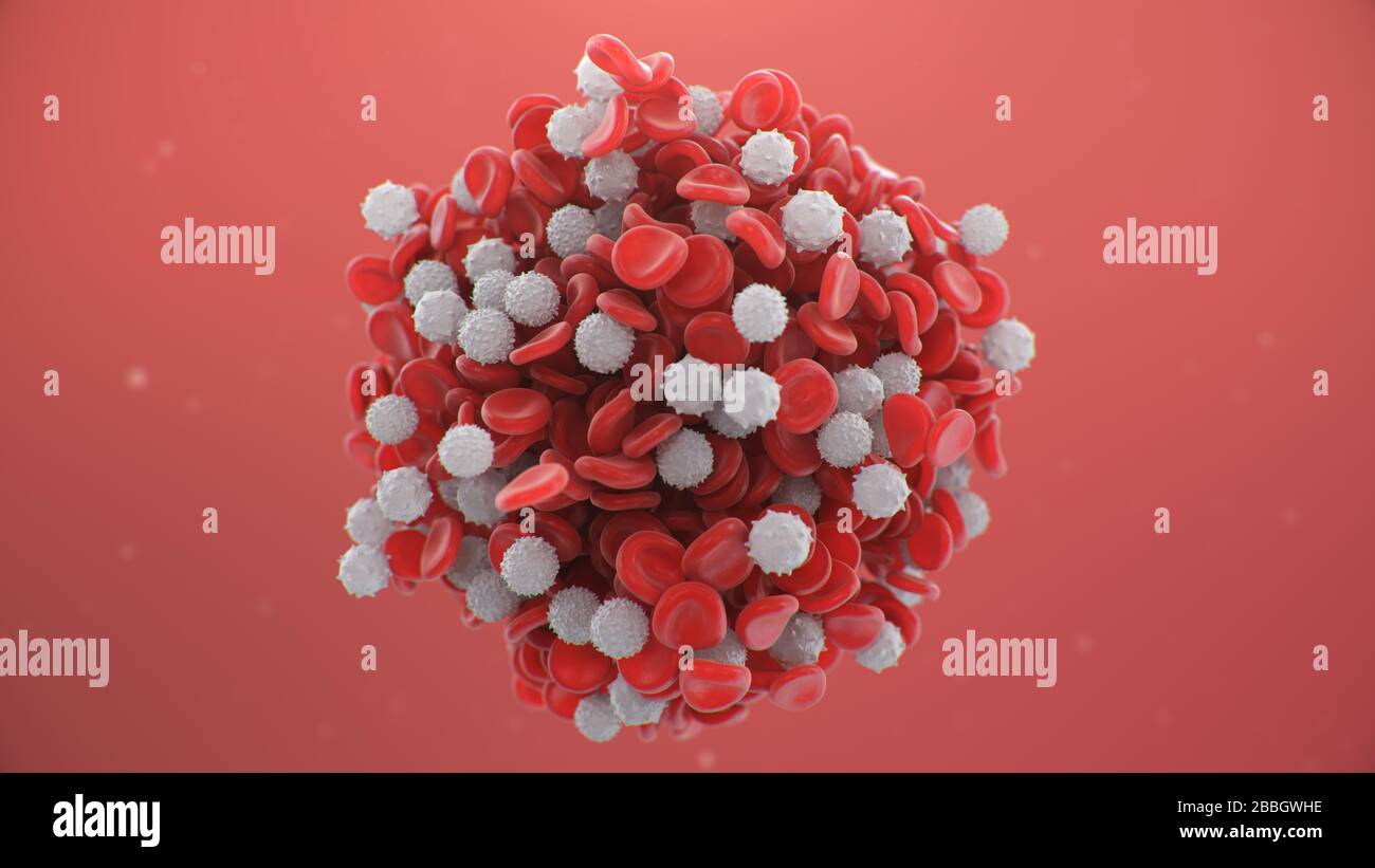 Globuli rossi con globuli bianchi immuni. Concetto microbiologico scientifico e medico. Arricchimento con ossigeno e nutrienti. Trasferimento Foto Stock