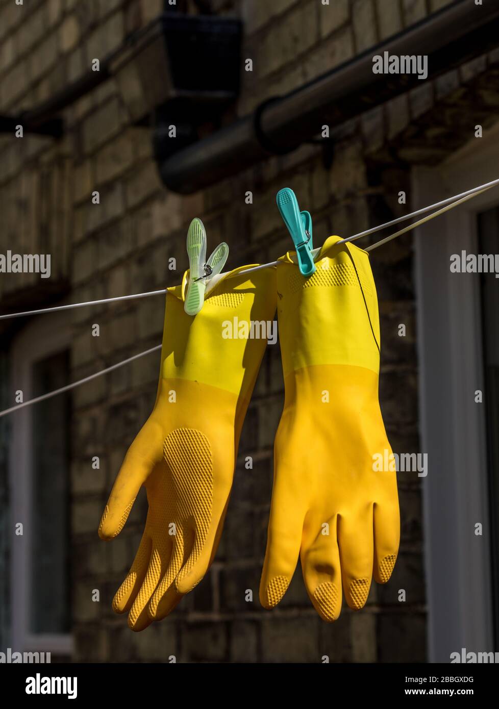 Un paio di guanti di gomma di protezione marigold gialli agganciati su una  linea di abbigliamento Foto stock - Alamy