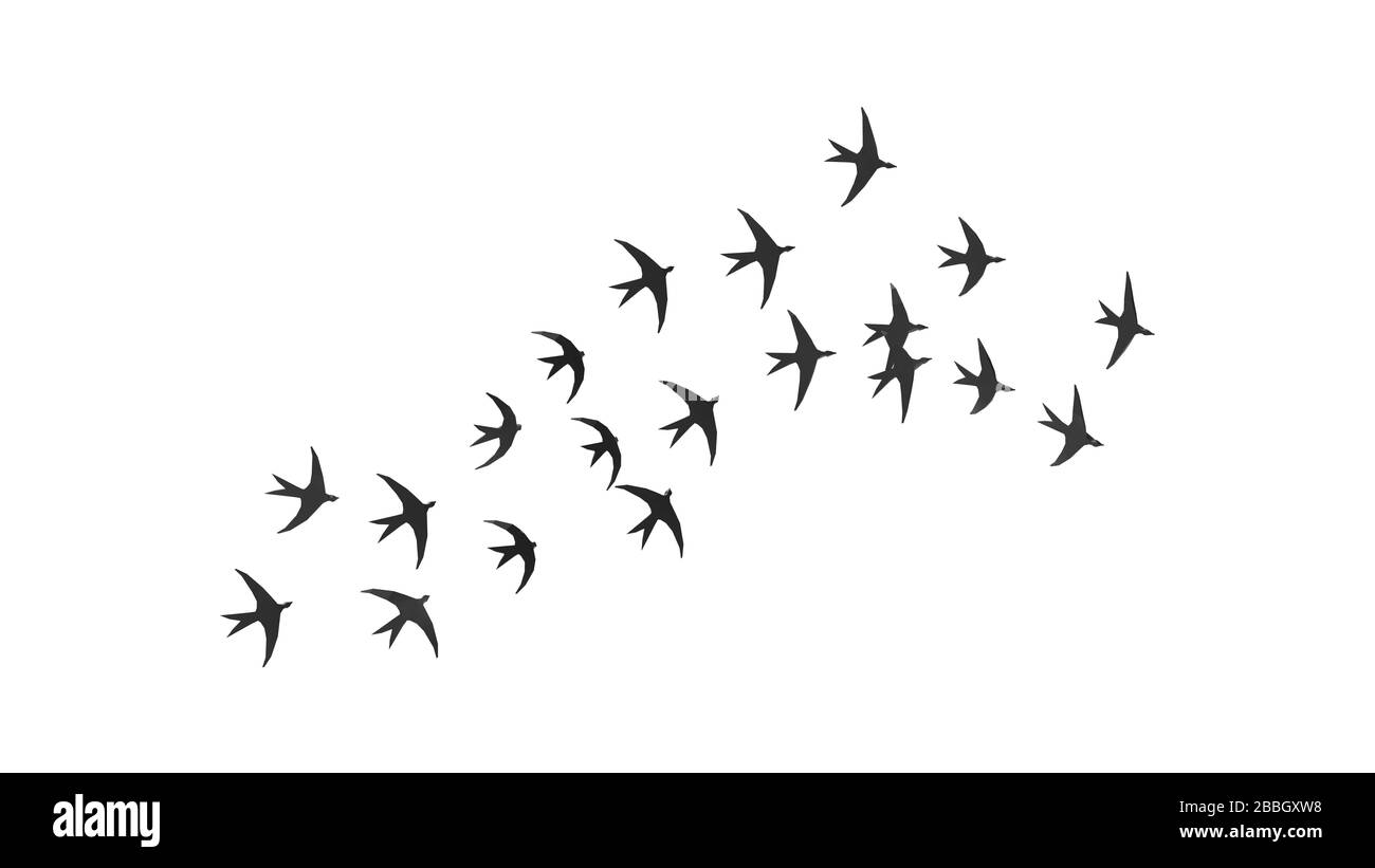 3D rendering swallows gruppo volare diffusione cielo libertà animali Foto Stock