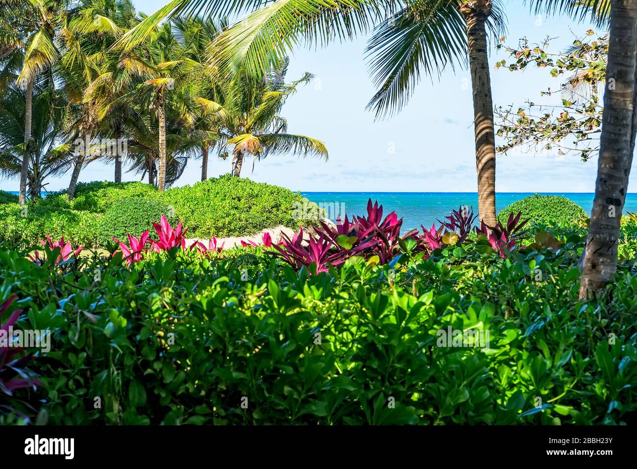 Vegetazione tropicale lussureggiante sull'isola di Porto Rico e l'Oceano Atlantico Foto Stock
