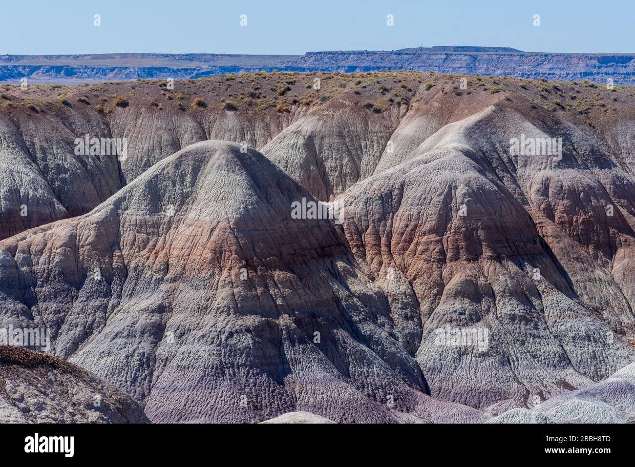 Paesaggio ad alto angolo di terreni di Badlands o colline a strisce sterili al Parco Nazionale della Foresta pietrificata in Arizona Foto Stock