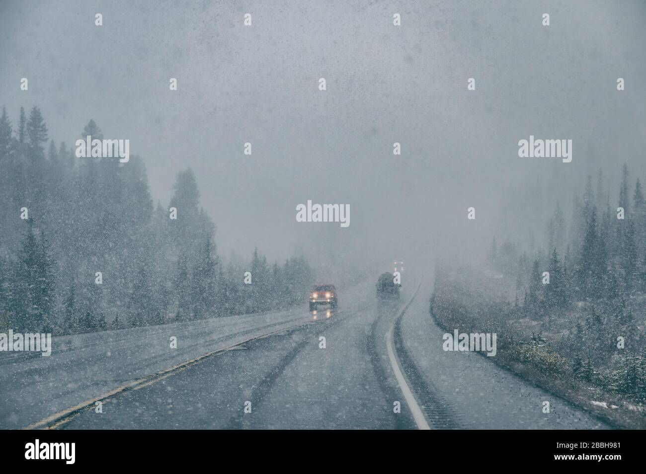 Guida in auto con scarsa visibilità in piena neve con pesanti nevicature al parco nazionale Foto Stock