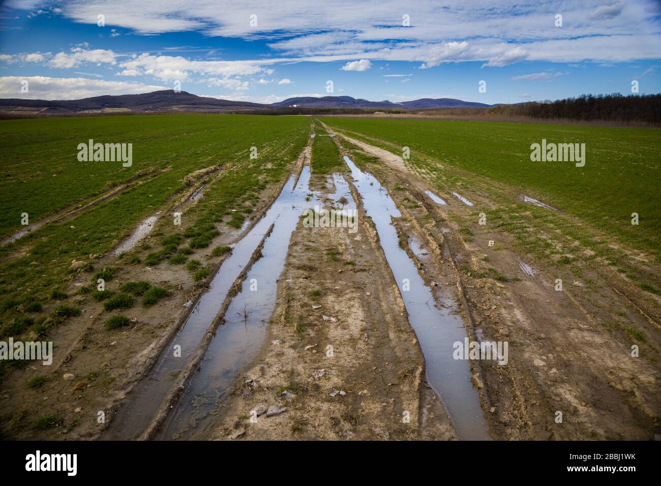 Campo primaverile dopo la pioggia nei pressi del villaggio di Budmerice, Slovacchia. Foto Stock