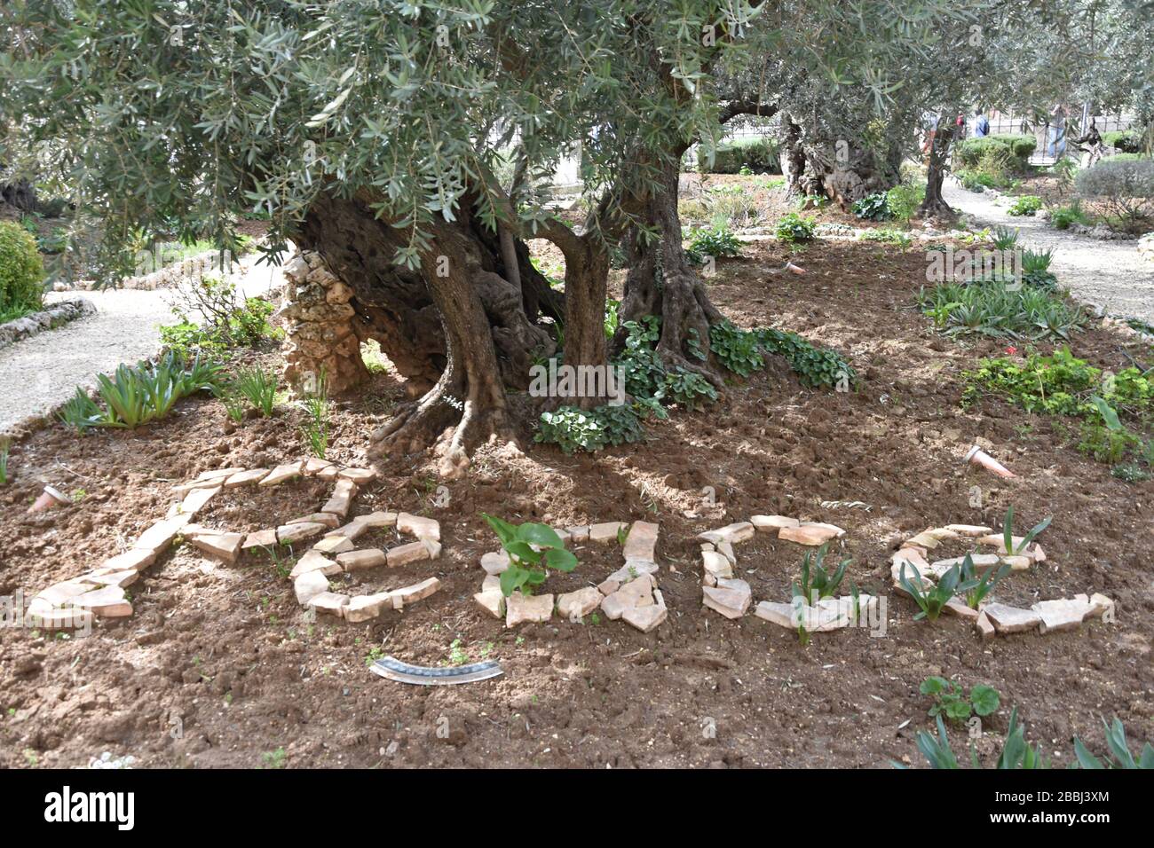 Cristo Nel Getsemani Immagini E Fotografie Stock Ad Alta Risoluzione Alamy 5535