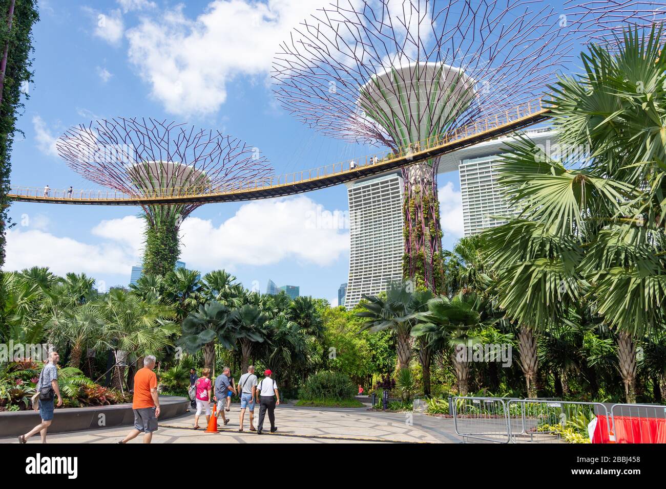 Skyway a Supertree Grove, Gardens by the Bay, Downtown Core, Marina South, Singapore Foto Stock