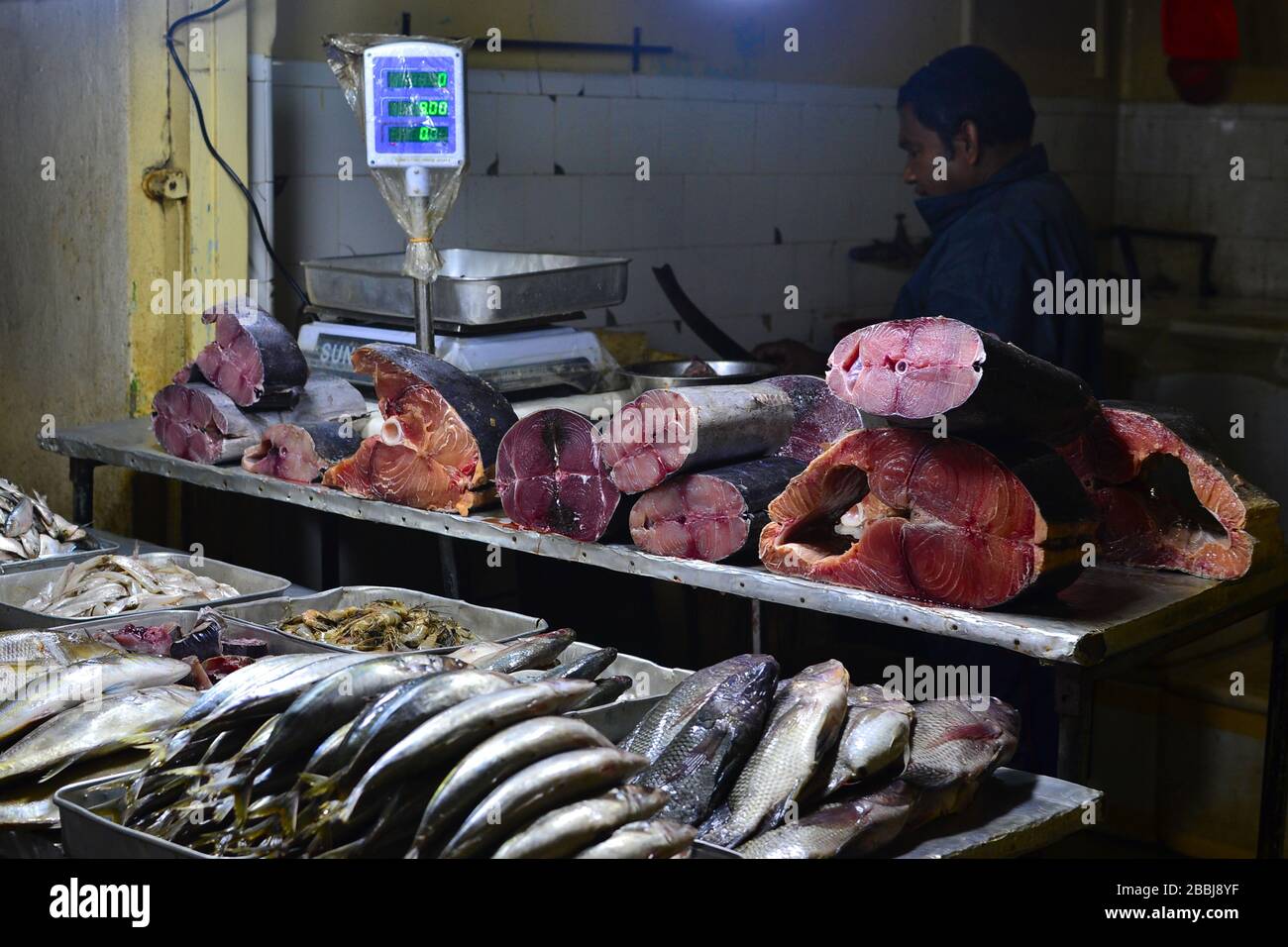 Nuwara Eliya, Sri Lanka - Marzo 2017: Pesce crudo sul mercato del pesce in stallo sulla strada. Fornitore di pesce fresco con bilancia. Foto Stock