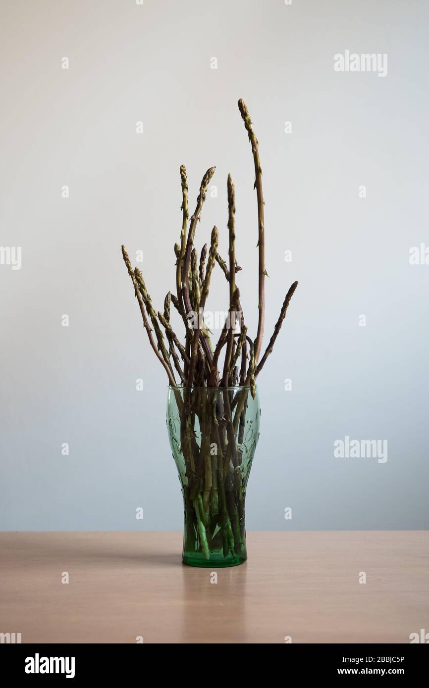 Un bouquet di asparagi selvatici che si erge in un bicchiere su un tavolo di legno. Foto Stock