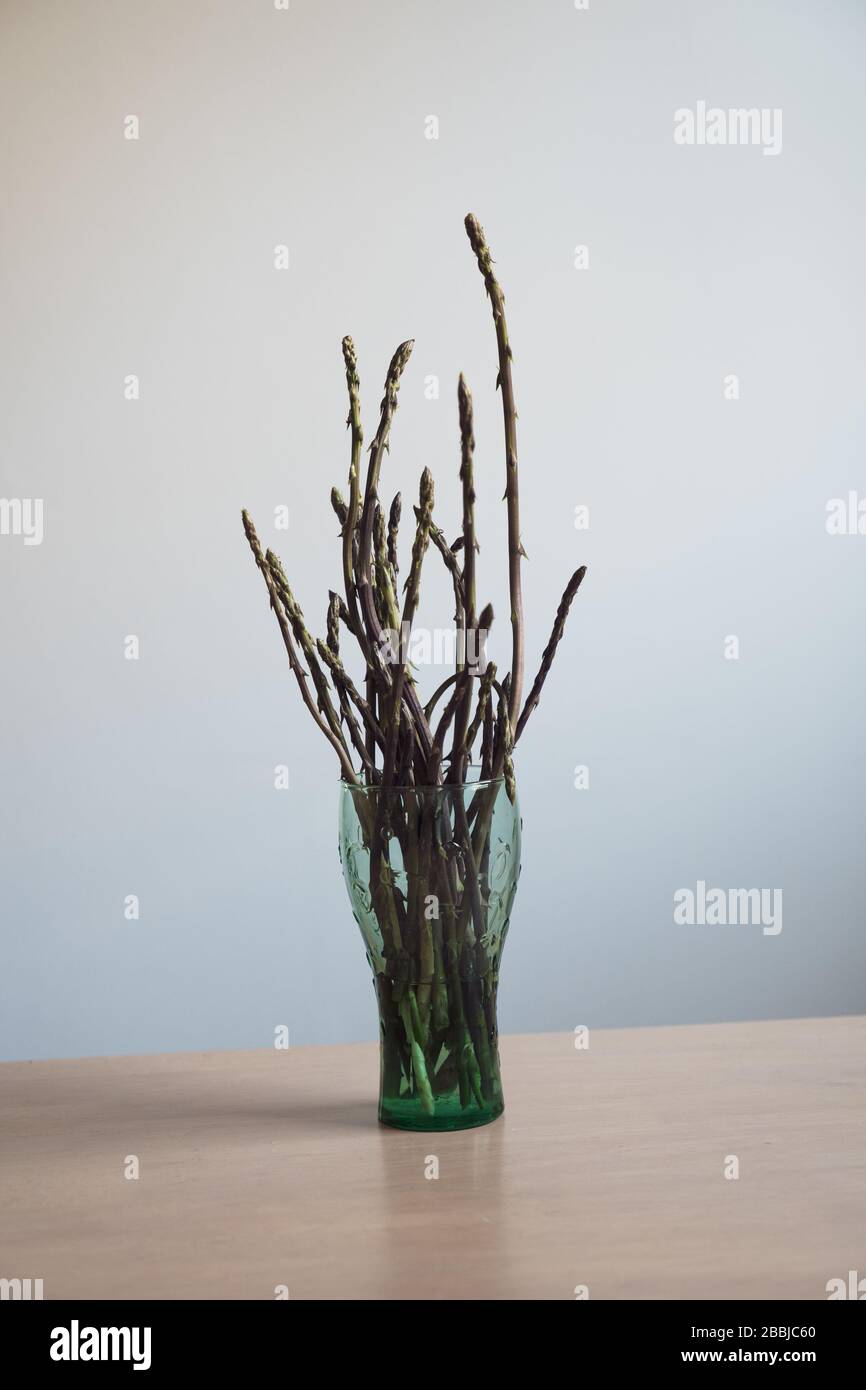 Asparagi selvatici in un bicchiere, Asparagus officinalis è la stessa specie degli asparagi coltivati in comune o asparagi da giardino. Foto Stock