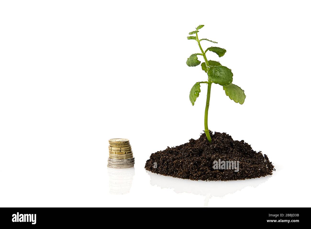 crescita del denaro. recessione economica. concetto di crescita degli investimenti come un albero in crescita. Foto Stock