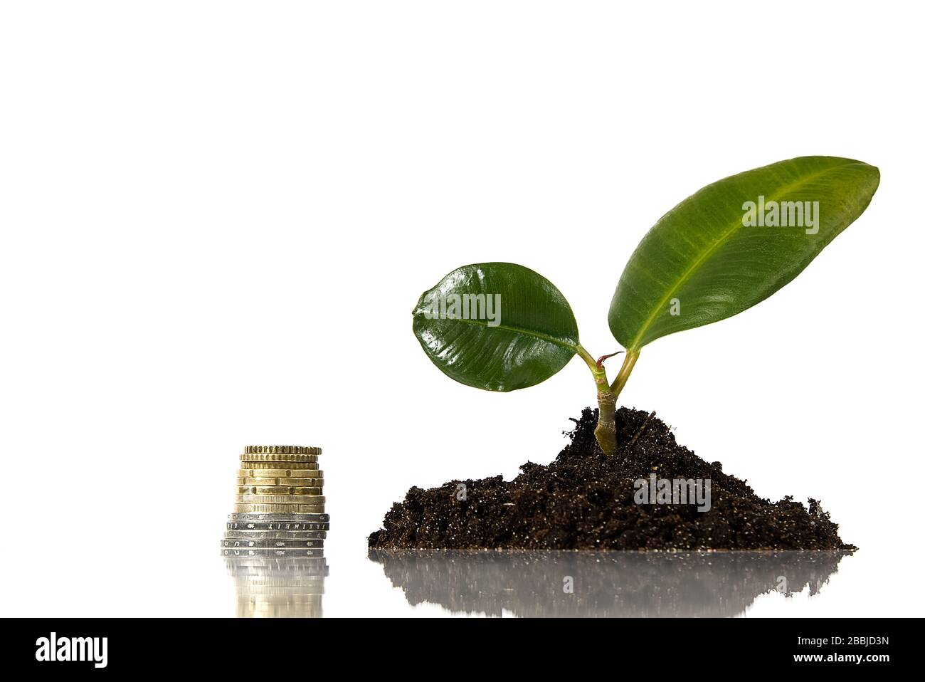 crescita del denaro. recessione economica. concetto di crescita degli investimenti come un albero in crescita. Foto Stock