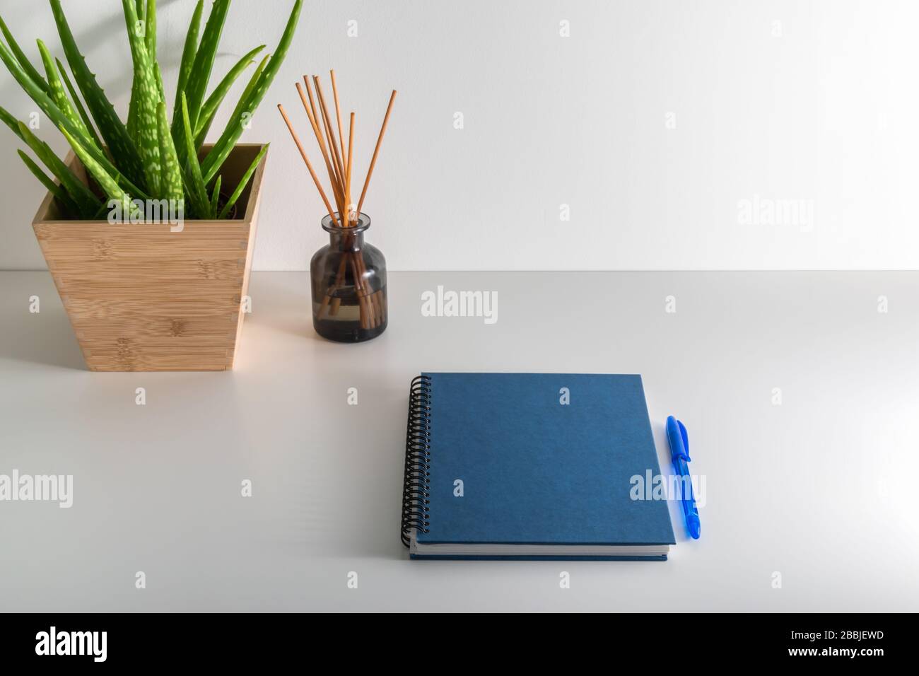 Elegante spazio di lavoro hippster con un notebook e aloe vera in un vaso di fiori sul tavolo a casa o in studio. Mockup scrivania bianca, copia spazio per il testo. Foto Stock