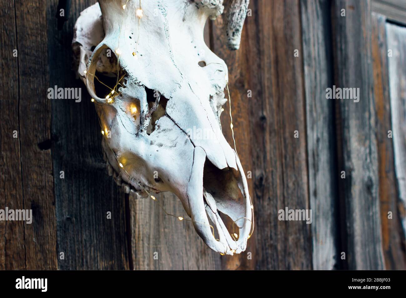 Malvagio cranio elegante di un cervo con una garland per Halloween su sfondo di legno Foto Stock