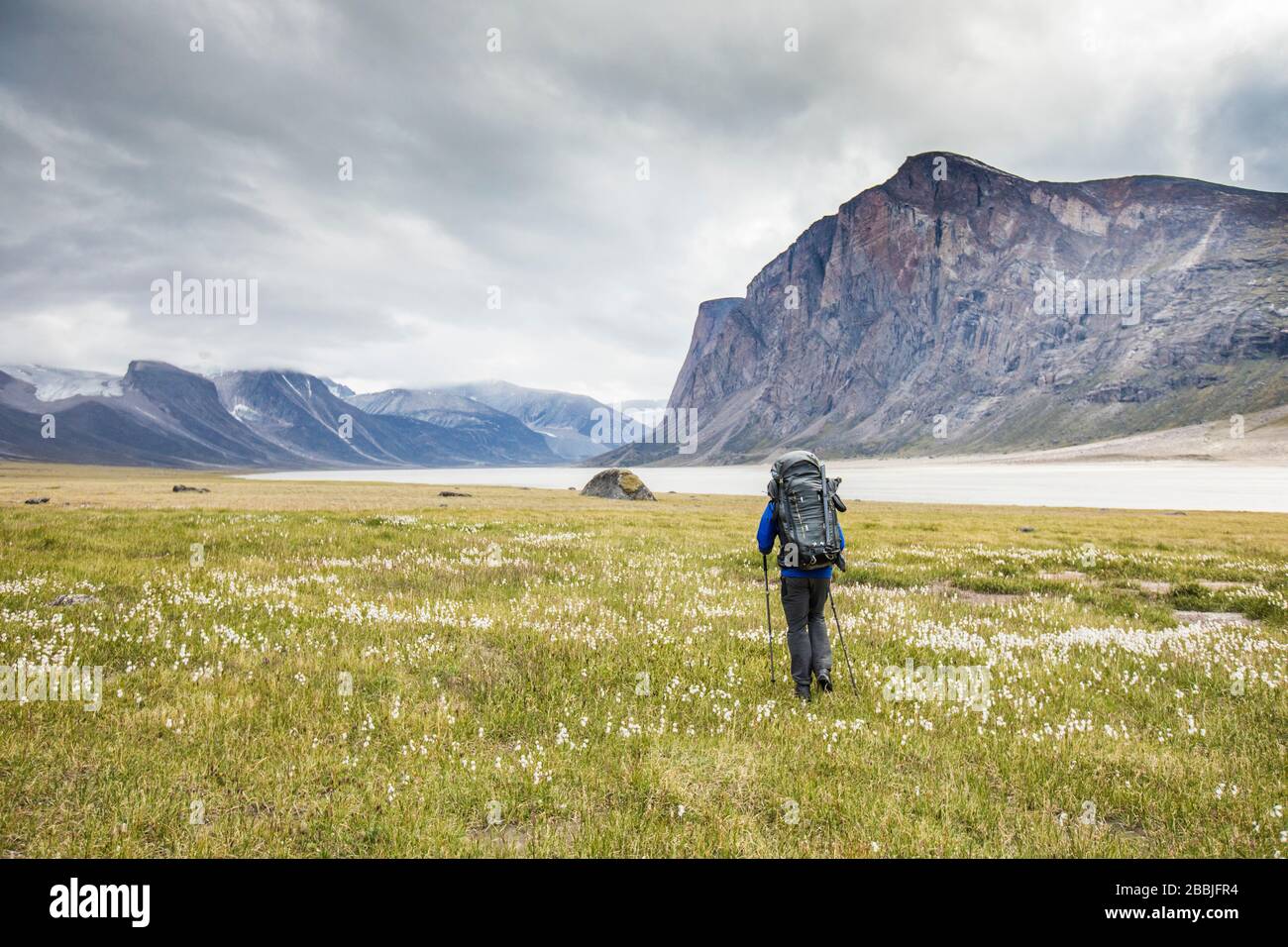 Escursioni con zaino in spalla attraverso il prato sull'isola di Baffin, Canada. Foto Stock