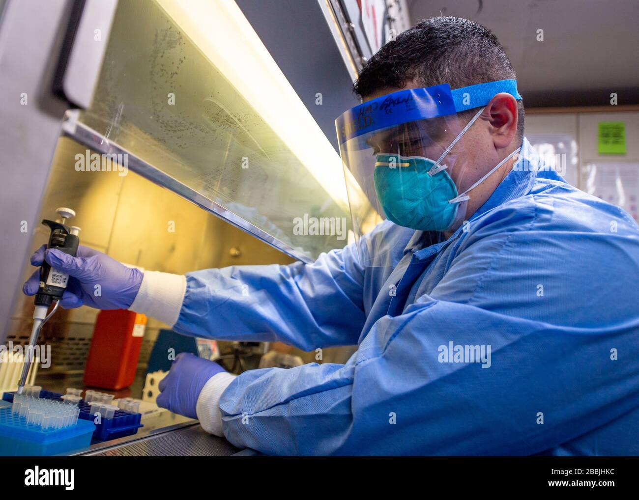 U.S. Navy Hospital Corpsman 3rd Class Erick Galindo, lavora con campioni virali nel micro laboratorio a bordo della nave ospedaliera USNS Mercy per assistere con COVID-19, soccorso pandemico del coronavirus 30 marzo 2020 a Los Angeles, California. Foto Stock