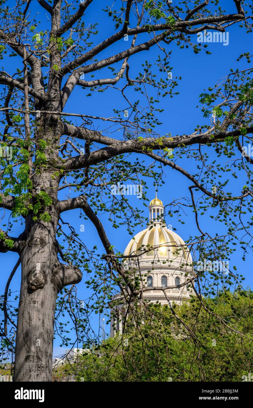 El Capitolio, o il palazzo del Campidoglio, l'Avana, Cuba Foto Stock
