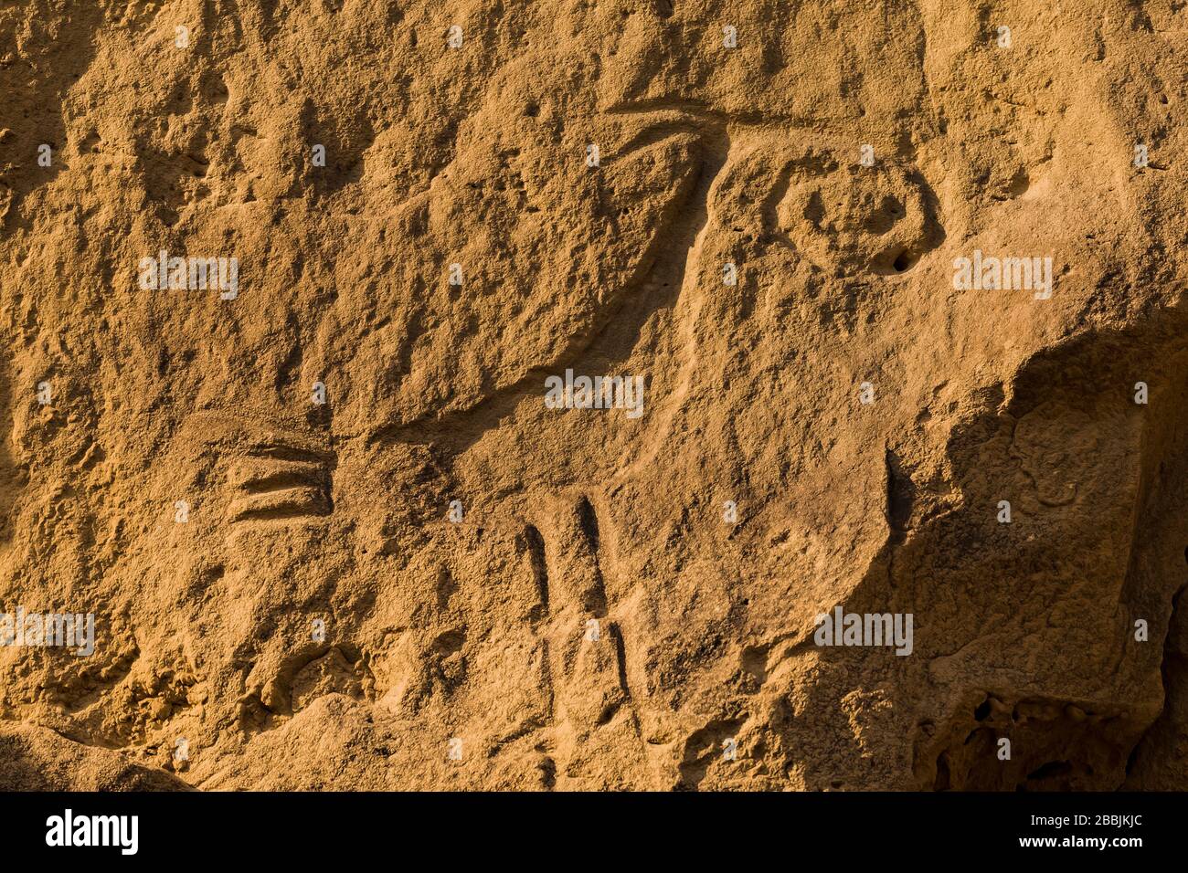 Petroglyph di turchia scolpito da ancestrale Puebloans lungo il Petroglyph Trail nel Chaco Culture National Historical Park, New Mexico, USA Foto Stock