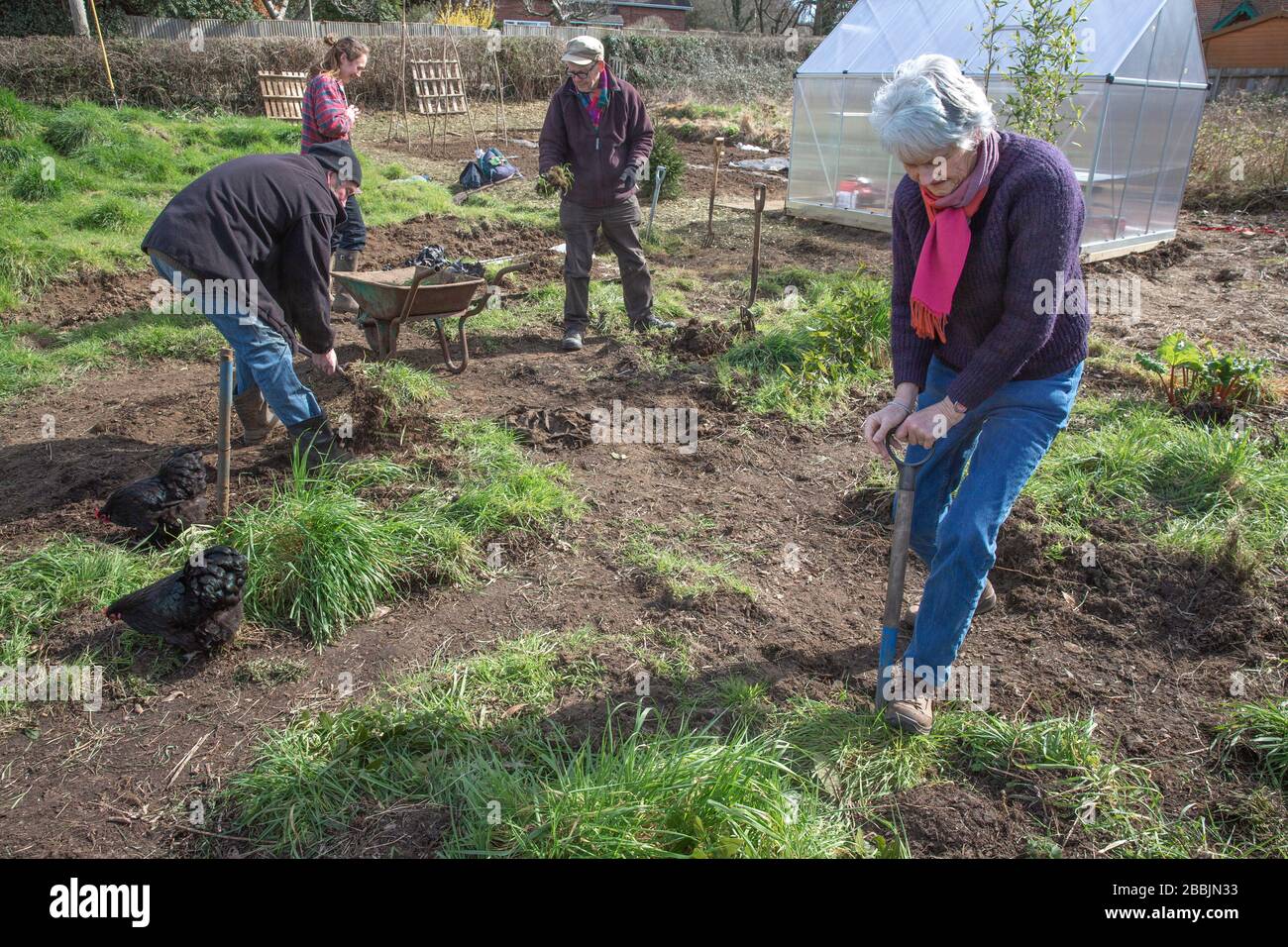 Lavorando su una nuova assegnazione per sviluppare il loro proprio alimento e rimanere sano Foto Stock