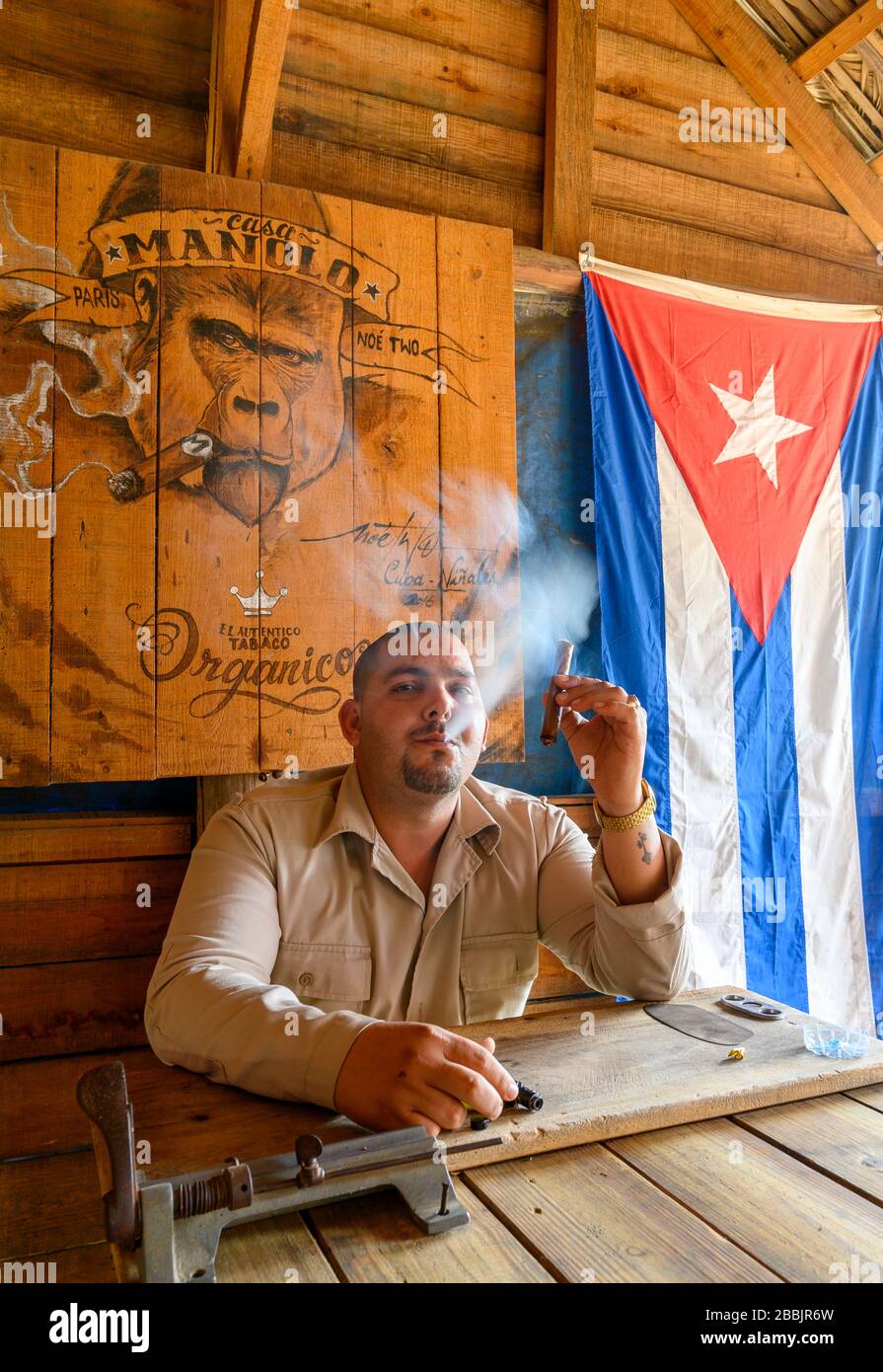 Il coltivatore di tabacco fuma il sigaro presso l'azienda agricola di Manolo, Vinales, Pinar del Rio Province, Cuba Foto Stock