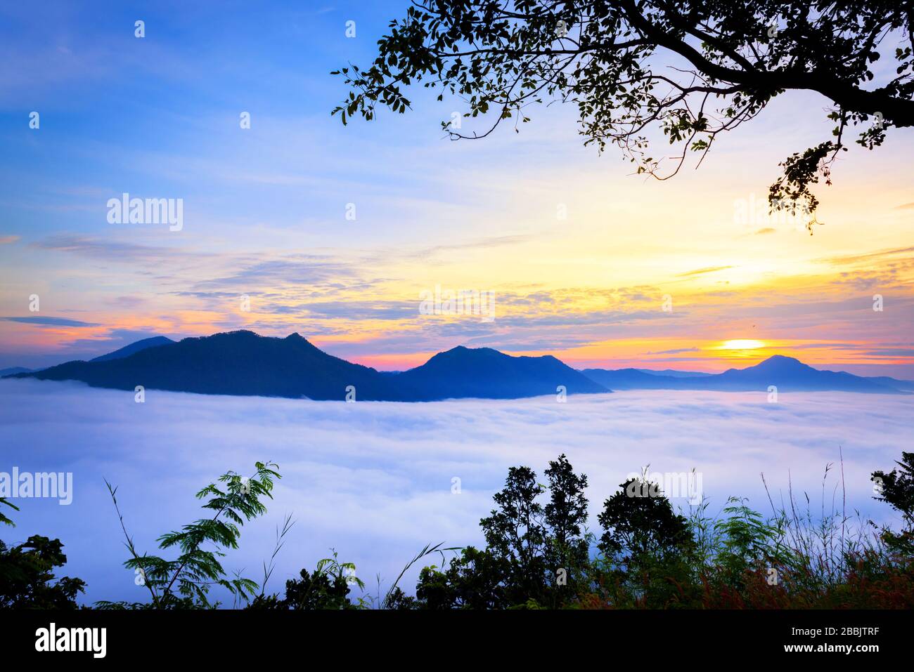 Bella vista del mare di nebbia e dell'alba a Phu Thok a Chiang Khan, provincia di Loei, Thailandia. Foto Stock