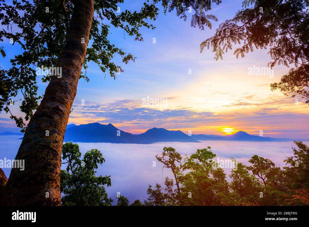 Bella vista del mare di nebbia e dell'alba a Phu Thok a Chiang Khan, provincia di Loei, Thailandia. Foto Stock
