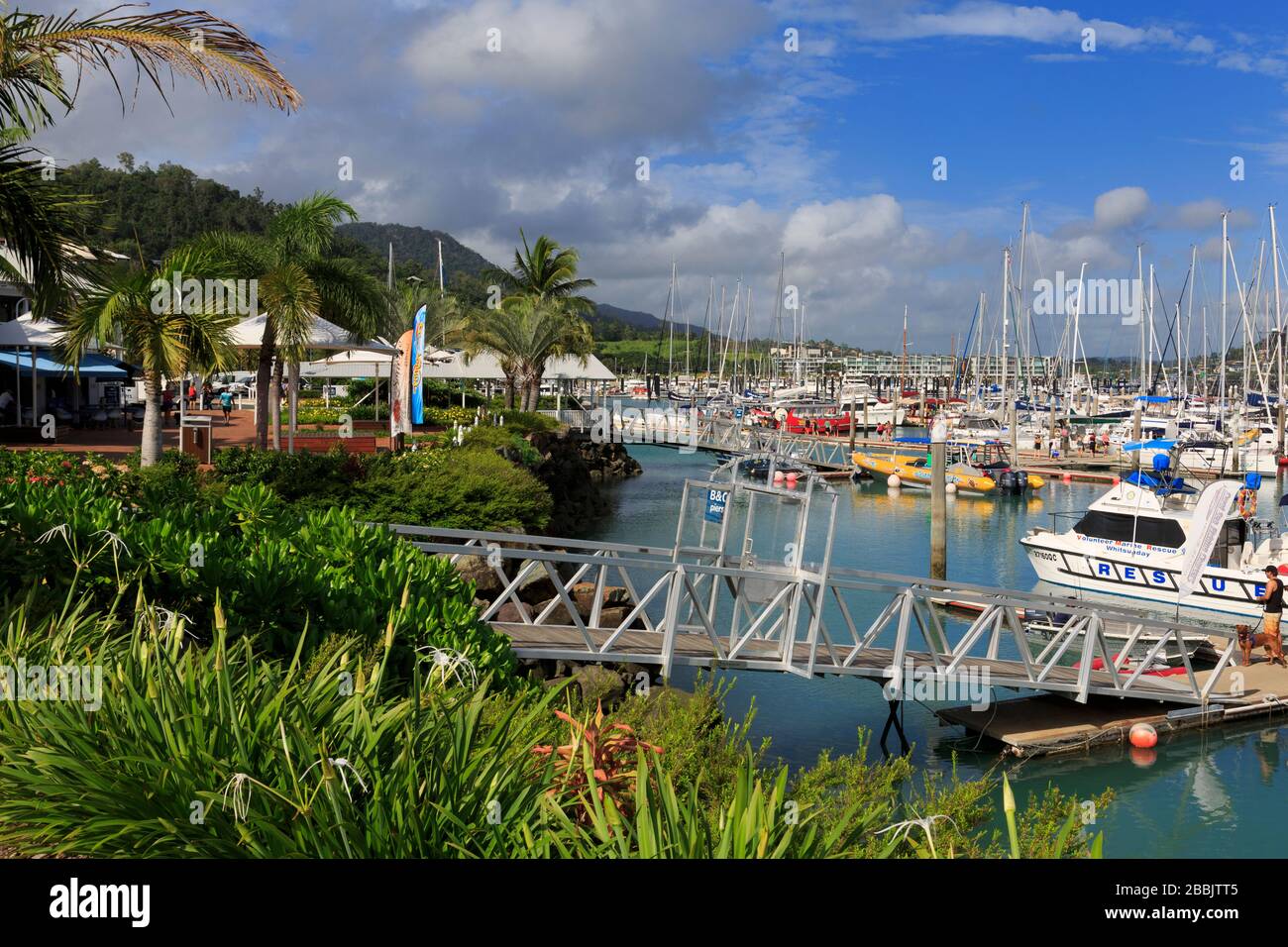 Abell Marina Point Airlie Beach, Queensland, Australia Foto Stock