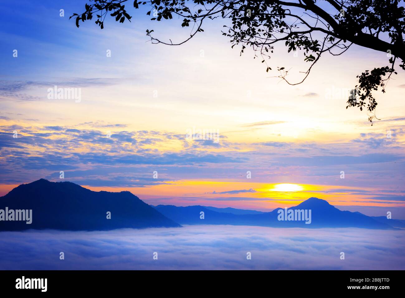Bella vista del mare di nebbia e dell'alba a Phu Thok a Chiang Khan, provincia di Loei, Thailandia. Foto Stock
