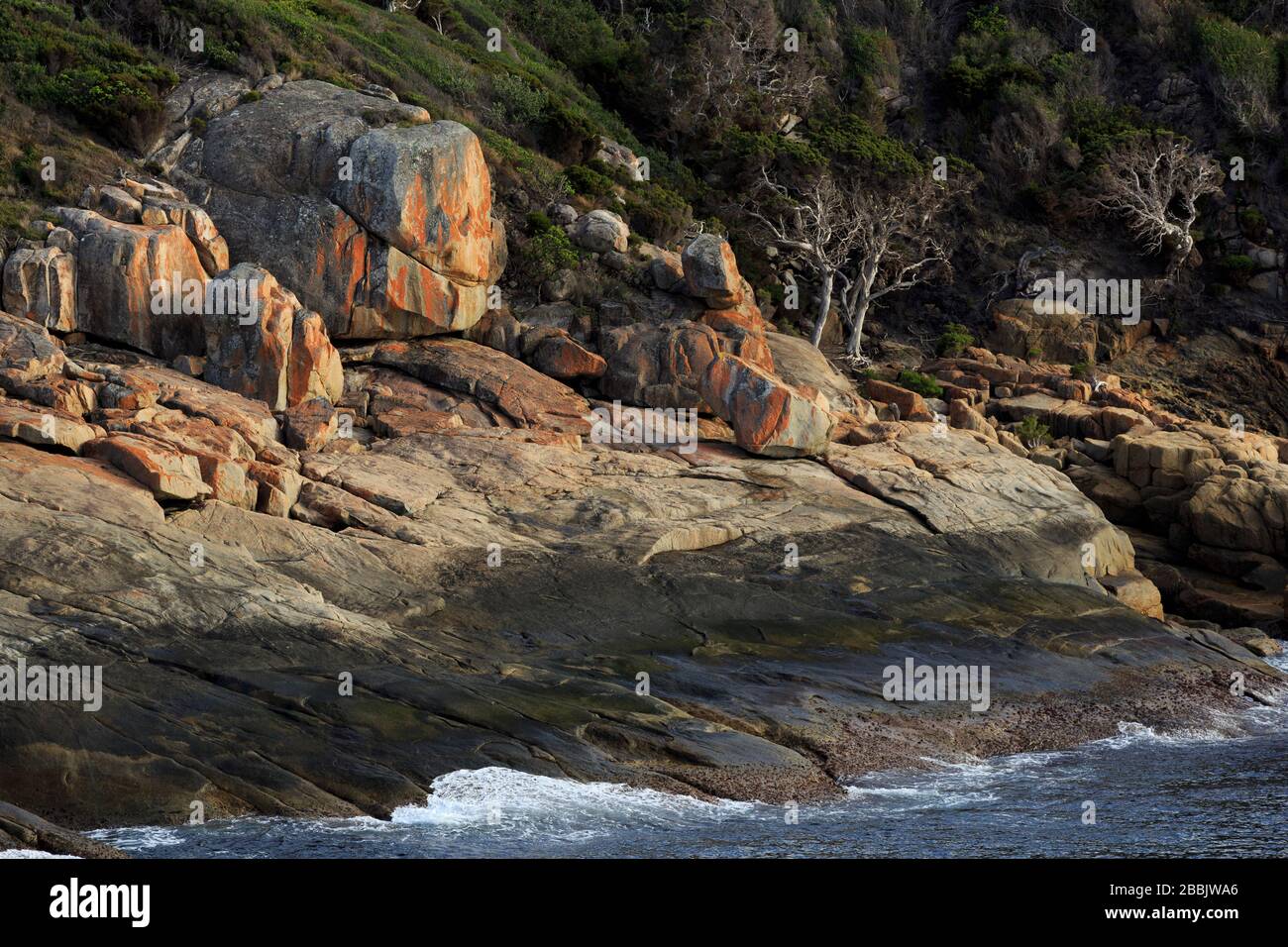 Punta Port King, Albany, Australia Occidentale Foto Stock