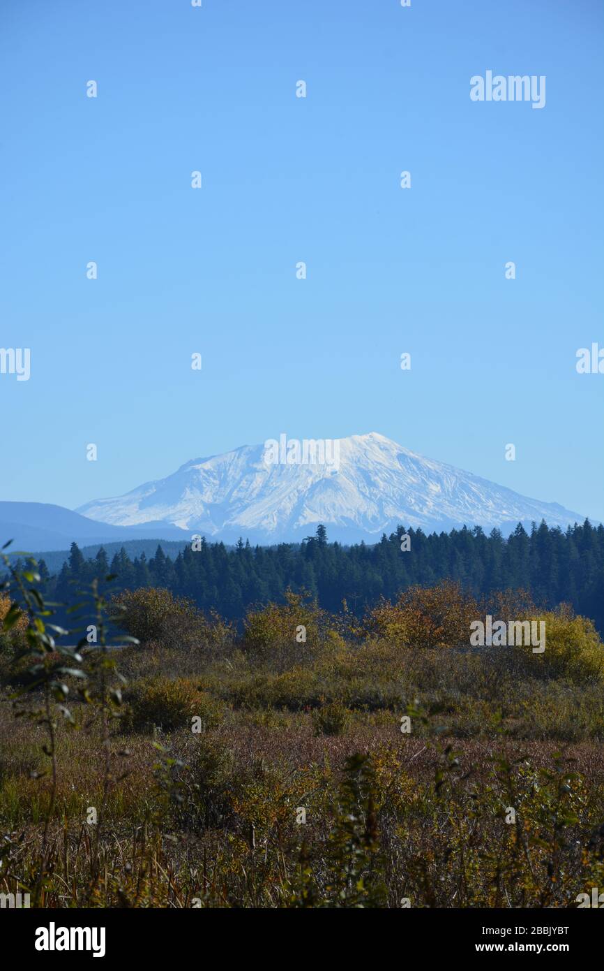Vista del monte St Helens innevato in ottobre, tratto da Silver Lake, Seaquest state Park, Cowlitz County, Washington state, USA Foto Stock
