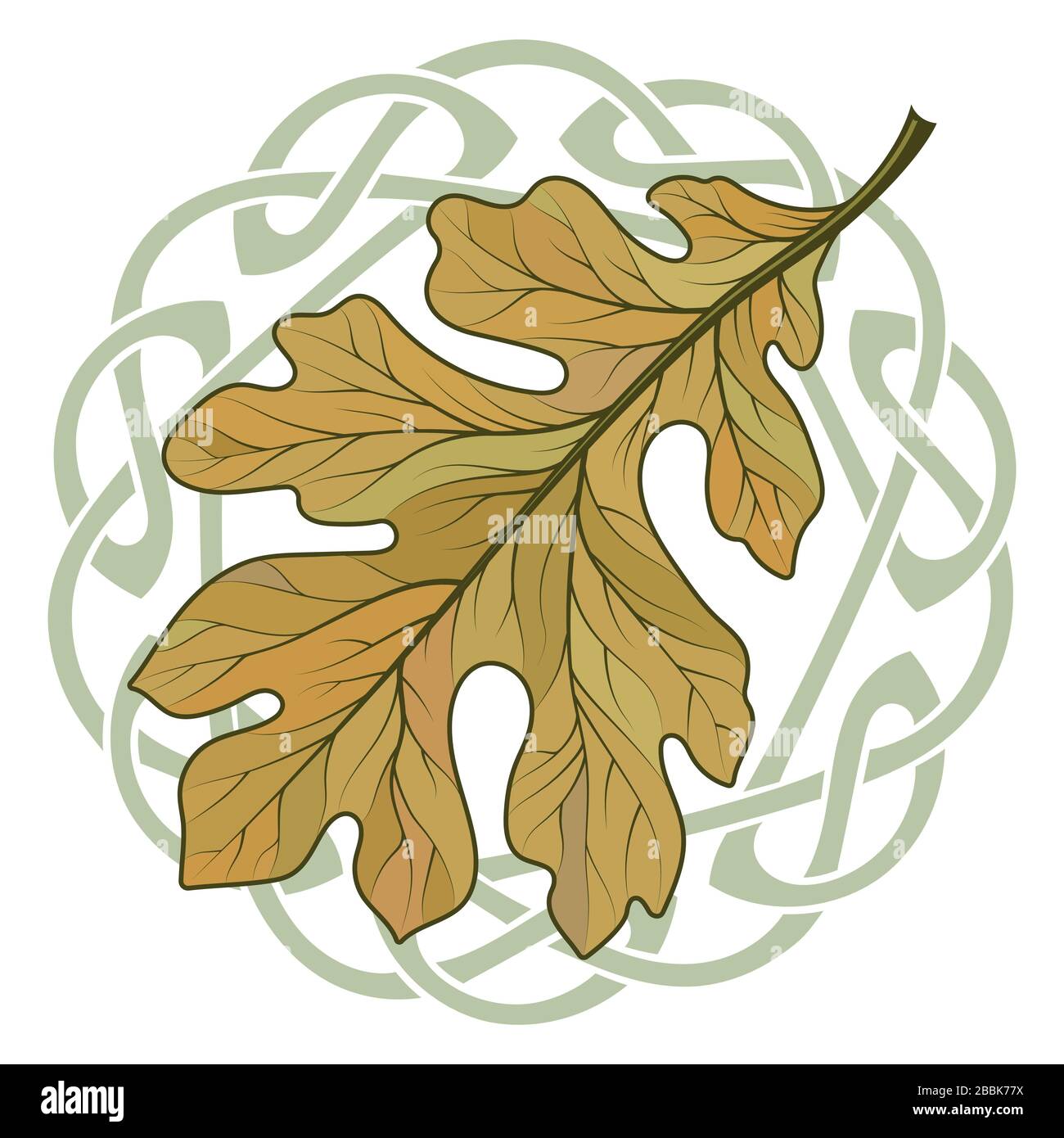 Foglia di quercia in autunno colorazione e Celtic magica ornamento Illustrazione Vettoriale