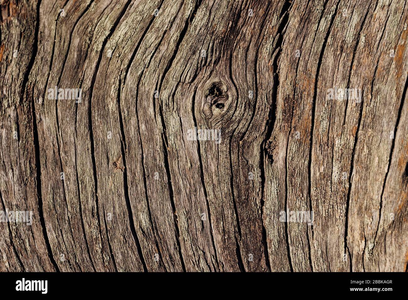 Legno vecchio asciutto sfondo marrone. Legno naturale, crepe su legno secco dal sole e dal tempo. Strisce di incrinature. Struttura del legno Foto Stock