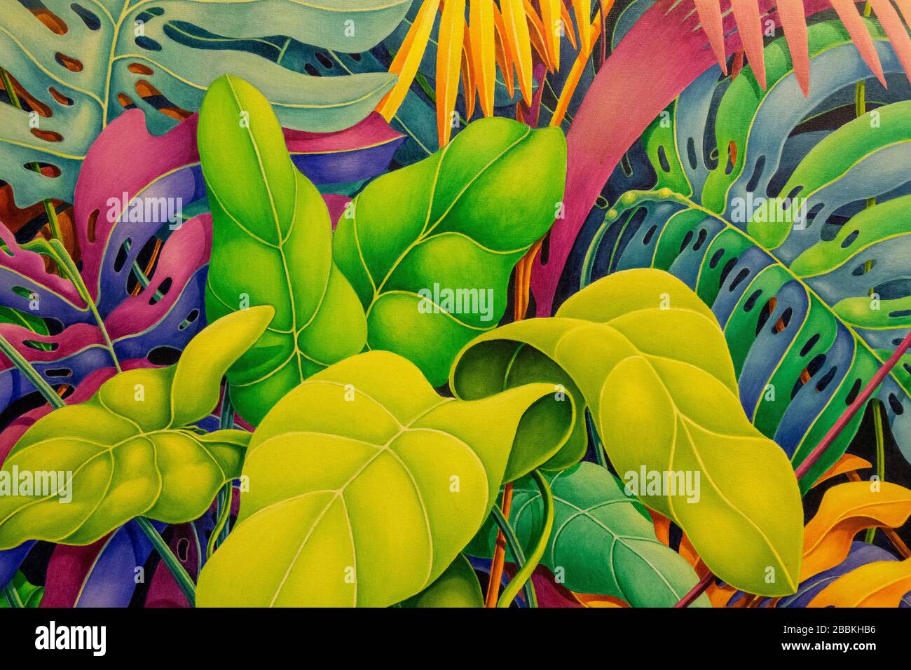 Cartagena - Colombia 29. Febbraio 2020: Urban Jungle Exhibition von Jaime Morales Lombana - la presentazione Museo della Casa Foto Stock