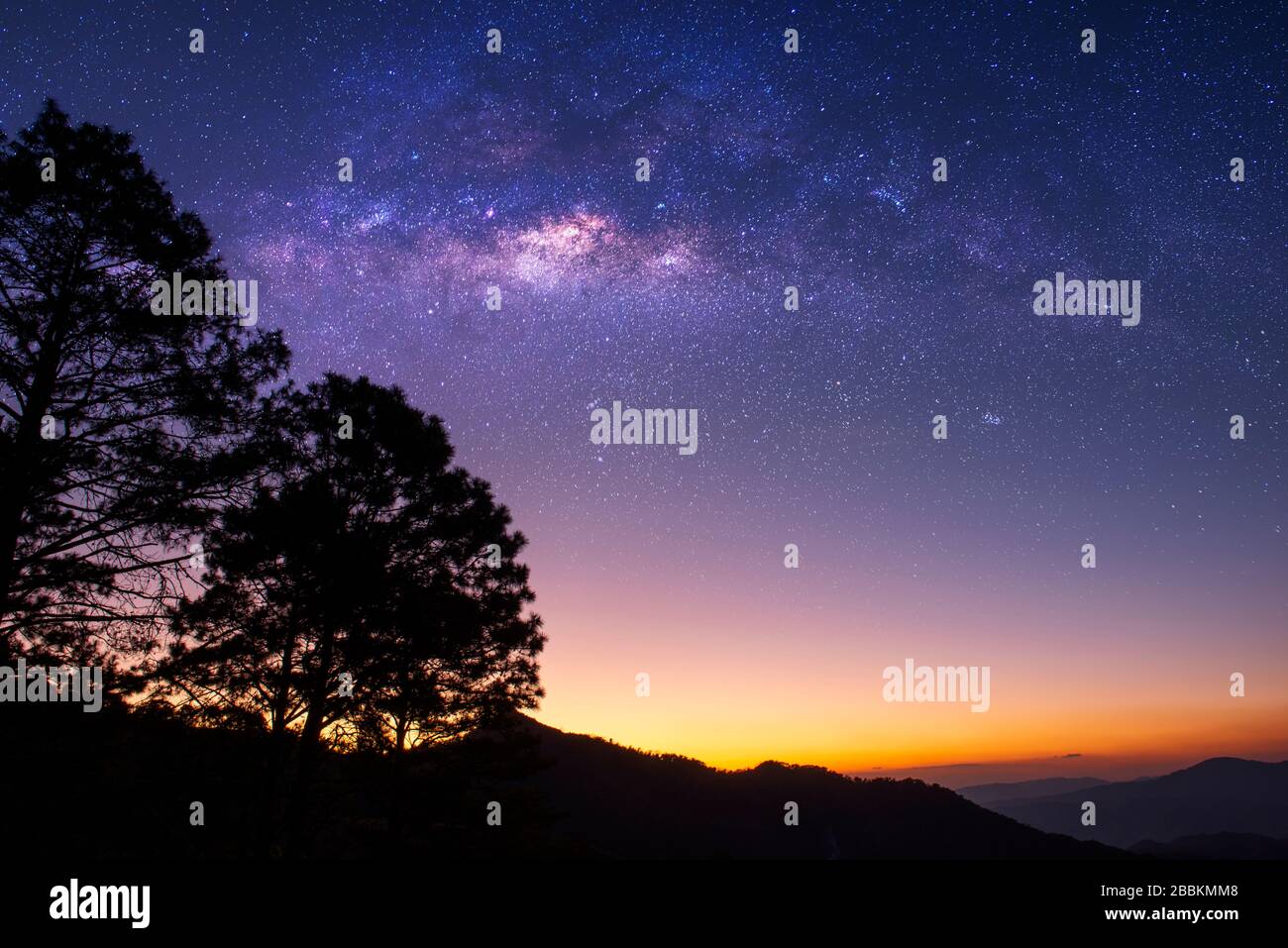 Paesaggio con Via Lattea. Cielo notturno con stelle e qualche albero sulla montagna. Foto Stock