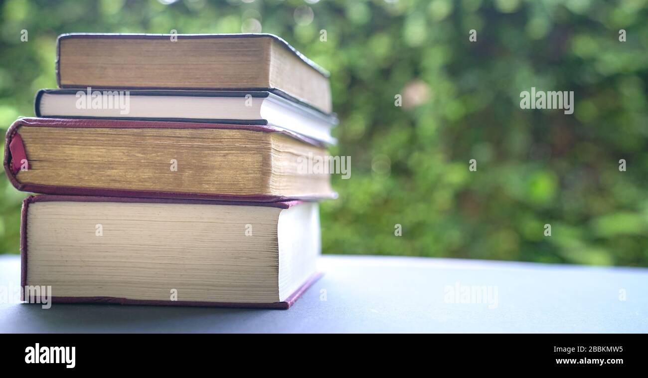 Pila di libri con sfondo verde natura. Scuola domestica o concetto di studio. Spazio di copia. Foto Stock