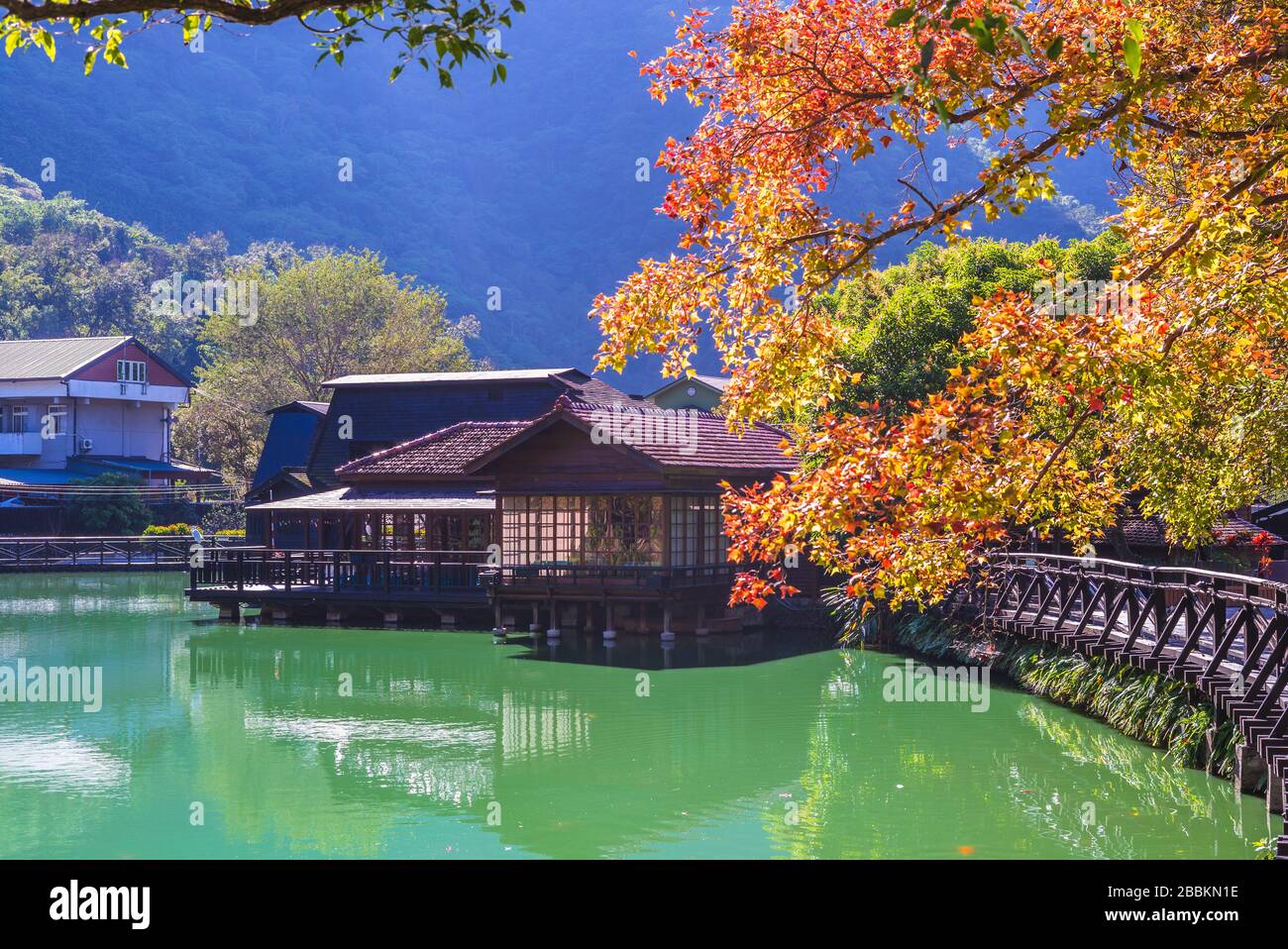paesaggio di checheng stagno di legname, nantou, taiwan Foto Stock
