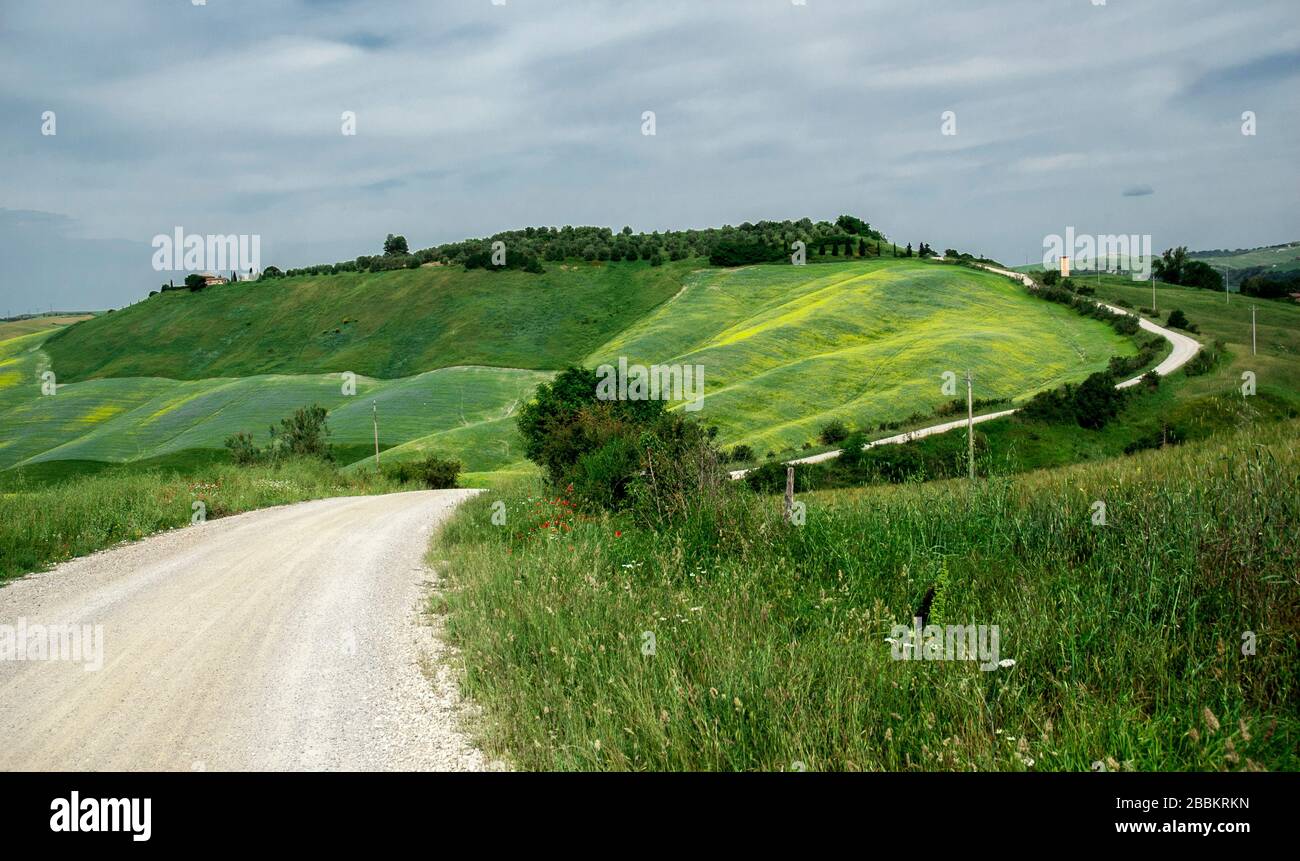 Bellissimi colori delle Crete Senesi Toscana,l'Italia,2018. Foto Stock