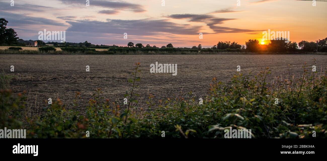 Tramonto sui campi di Norfolk Inghilterra Foto Stock